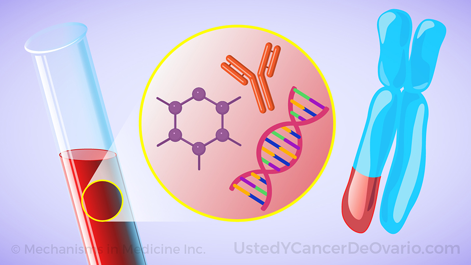 Animación - ¿Qué son las mutaciones genéticas y los biomarcadores en el cáncer de ovario?