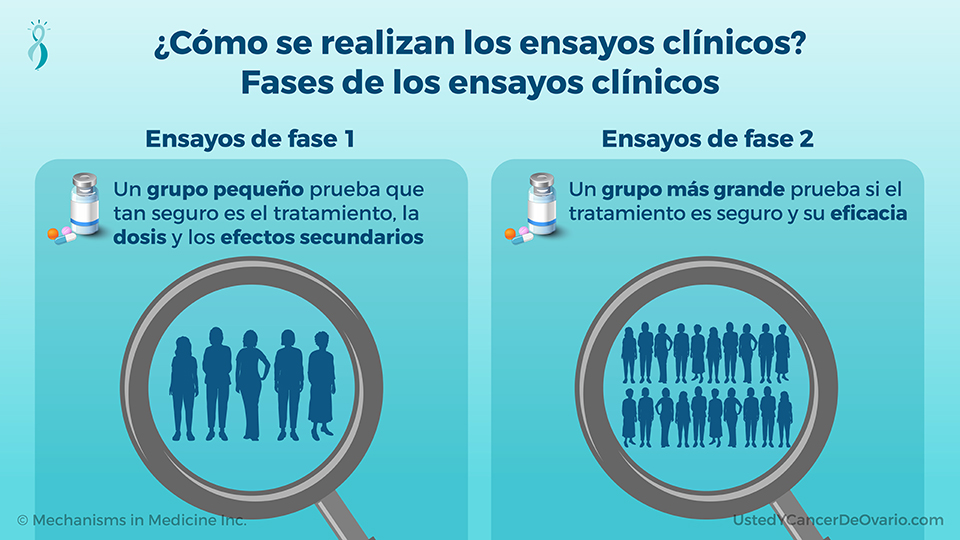 ¿Cómo se realizan los ensayos clínicos? Fases de los ensayos clínicos