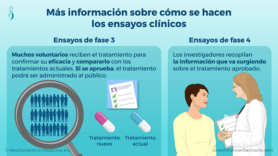 Más información sobre cómo se hacen los ensayos clínicos