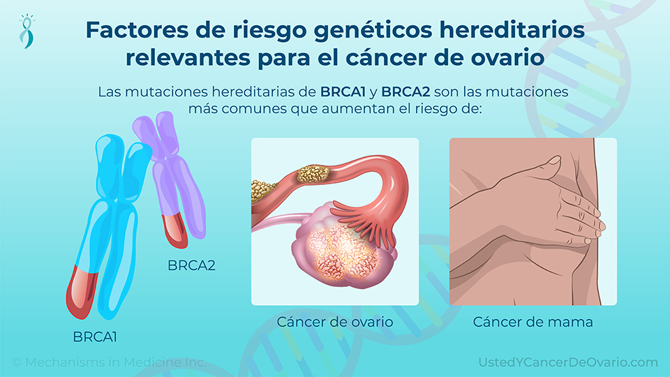 Presentación De Diapositivas Diagnóstico Del Cáncer De Ovario