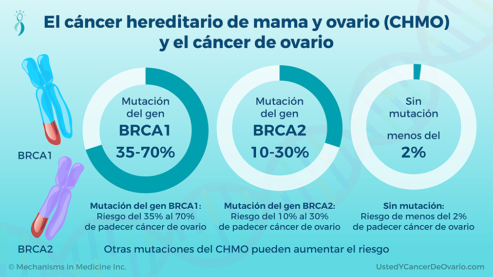 El cáncer hereditario de mama y ovario (CHMO) y el cáncer de ovario