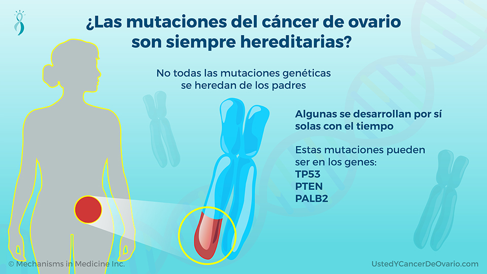 ¿Las mutaciones del cáncer de ovario son siempre hereditarias?