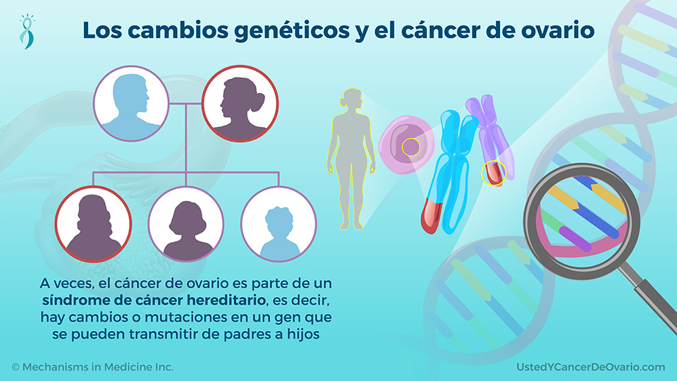 Los cambios genéticos y el cáncer de ovario