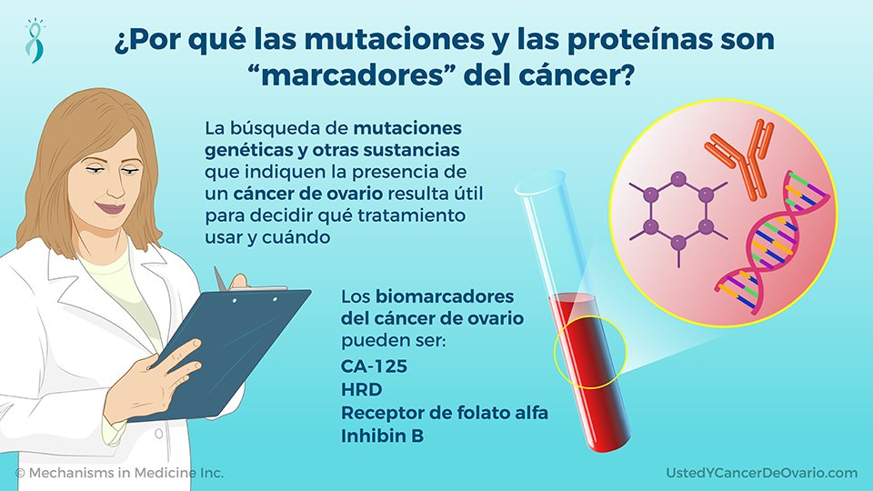 ¿Por qué las mutaciones y las proteínas son “marcadores” del cáncer?